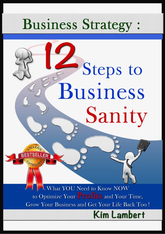 Business Strategy: 12 Steps to Business Sanity